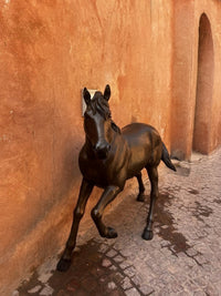 Life-Size Bronze Horse Sculpture — Cantering Stallion in Dark Patina