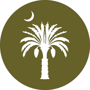 Riad Sa'eed
